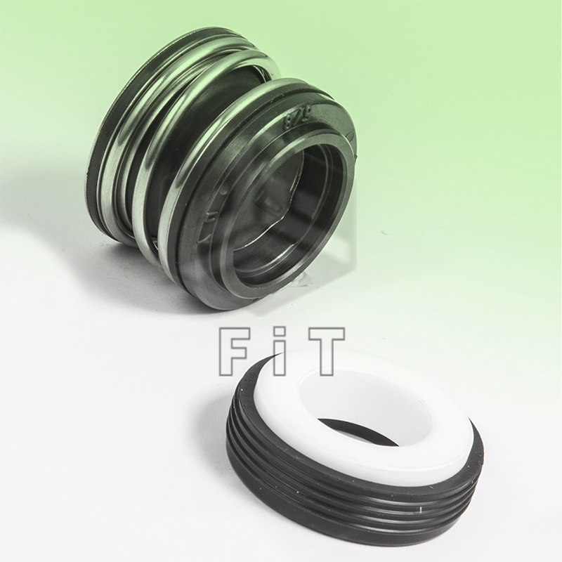 Elastomer bellow mechanical seals FT60